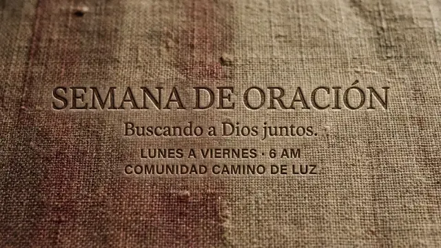 Textura Tejida